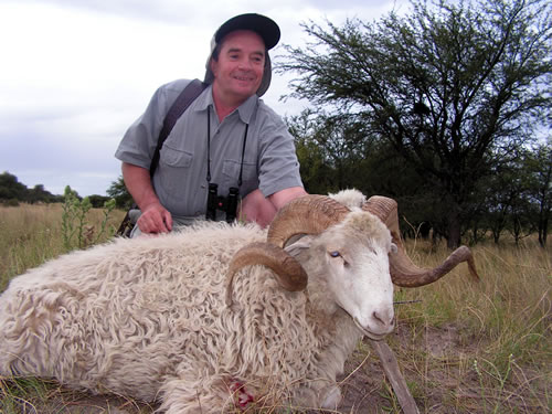 Texas dall ram