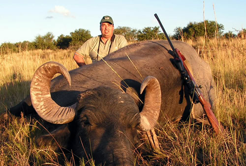 Water Buffalo